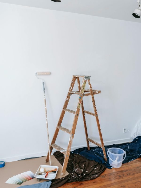 pexels-blue-bird-7217930 pexels-blue-bird-7217930